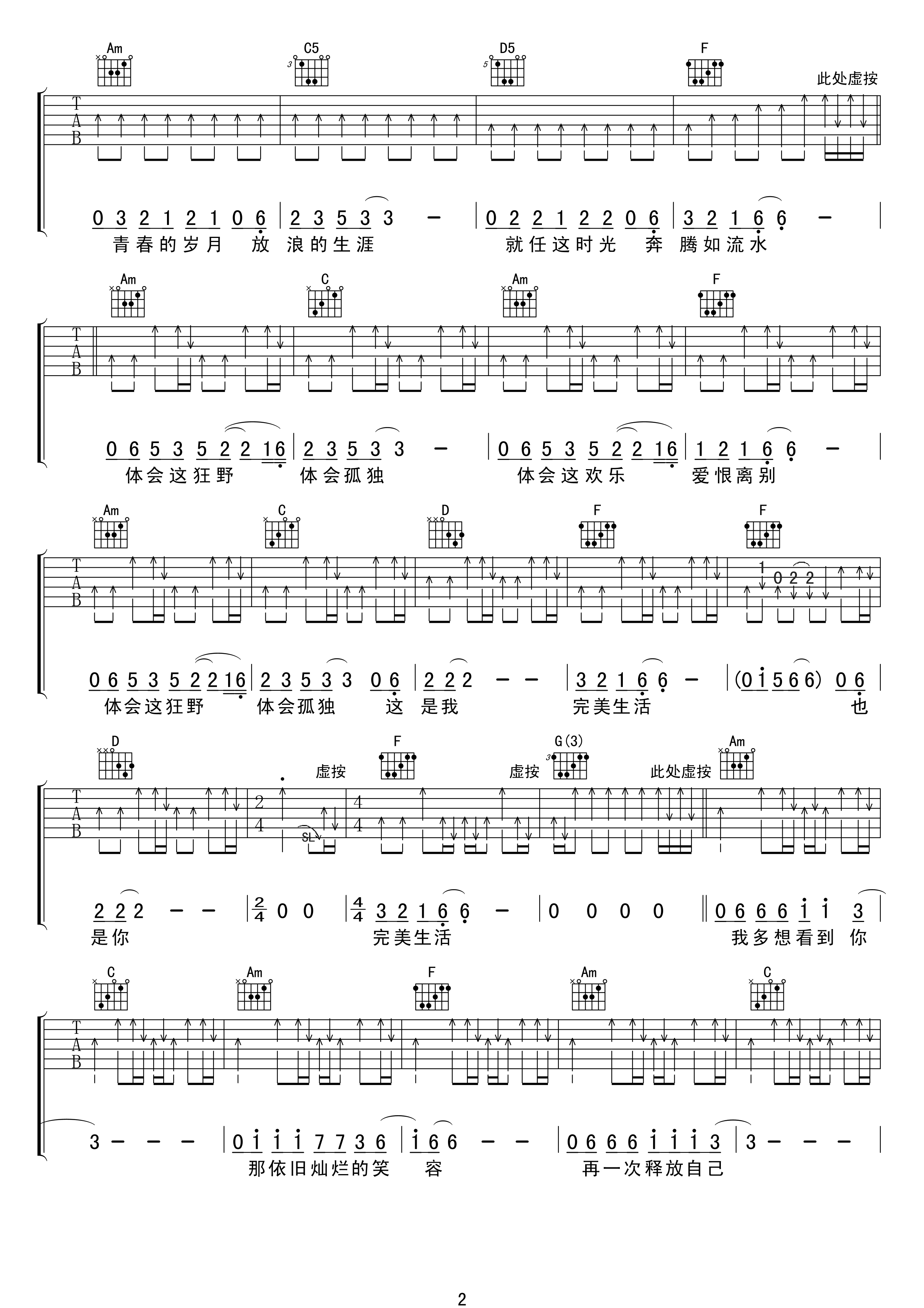 许巍《完美生活》吉他谱-C调原版简单吉他扫弦教学谱